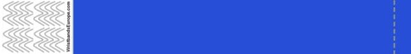 Blue Tyvek Wristband