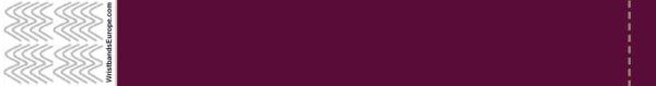 Purple Tyvek Wristband