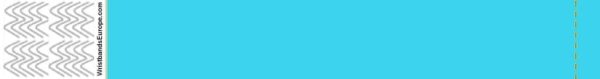 Sky Blue Tyvek Wristband