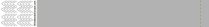 Plain Tyvek Silver